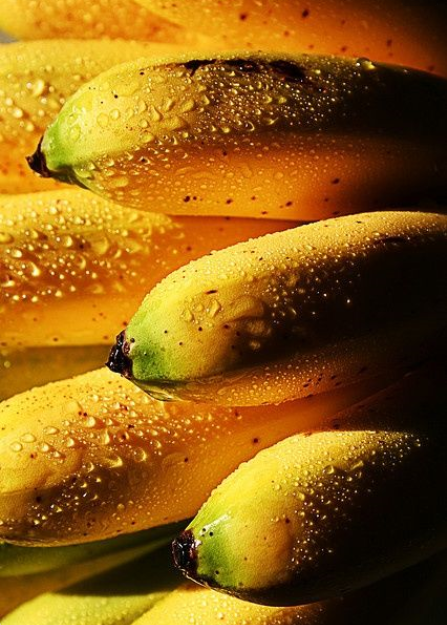 바나나껍질10.png