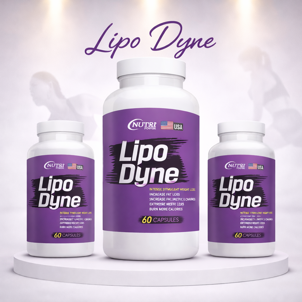 리포다인 + 리포다인 + 리포다인